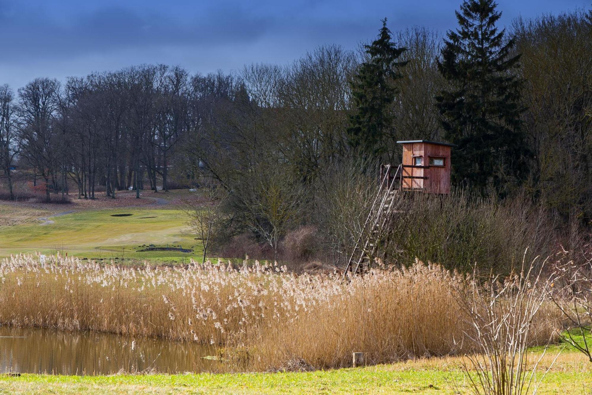 Tiny House Fleesensee Mit Eigenem Garten Und Nur Wenige Meter Vom Seeufer Göhren-Lebbin Kültér fotó